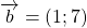 \overrightarrow{b}= (1; 7)